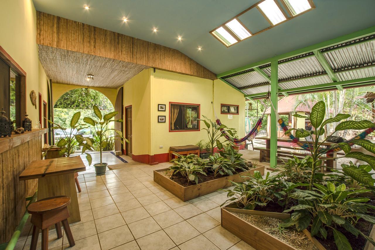 פלאיה גרנדה Indra Inn מראה חיצוני תמונה